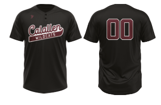Calallen HS Softball - Grey Two Button Jersey